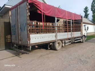 шинный центр ош: DAF 65 а Ати срочно сатылат матор мес 1324 тел иске дяр
