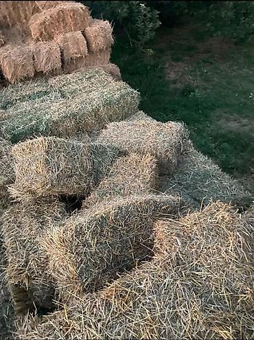 сушь рамки: Сено и солома в тюках - Прямоугольные тюки стандартного размера — 1