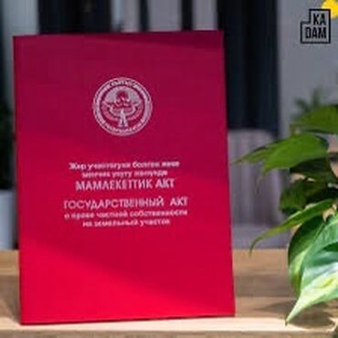 участок вдоль трассы: 423 соток, Курулуш, Кызыл китеп, Сатып алуу-сатуу келишими