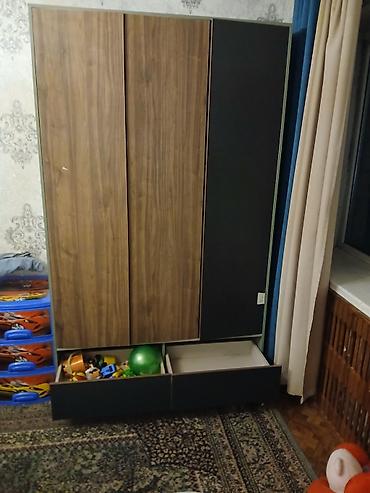 Шкаф-купе/распашной трехдверный для одежды и хранения. Особенности и