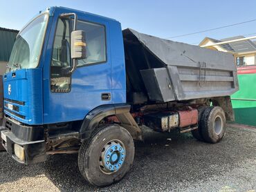 ассенизатор машина: Грузовик, Iveco, Стандарт