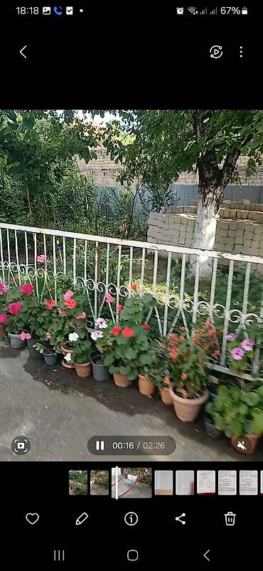 Bağ evlərinin kirayəsi: 60 kv. m, 4 otaqlı, Hovuzsuz, Qaz, Kombi, İnternet — 3