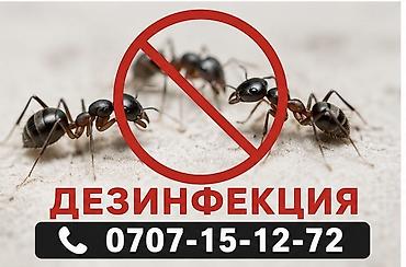 Клининговые услуги: Дезинфекция, дезинсекция, | Блохи, Вирусы, микробы, Клопы, | Дома, Кафе, магазины, Квартиры — 1