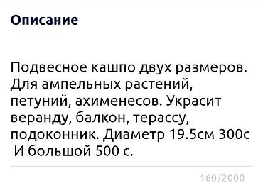 Другие комнатные растения: Сенсивьерия (Тещин язык) . Неприхотливый цветок. Растёт на солнце и в — 8