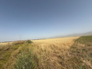 дом с цокольным этажом и гаражом: 600 sot, Biznes üçün, Maklerlər narahat etməsin, Kupça (Çıxarış)