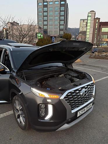 Hyundai: Hyundai Palisade: 2020 г., 2.2 л, Автомат, Дизель, Кроссовер — 32