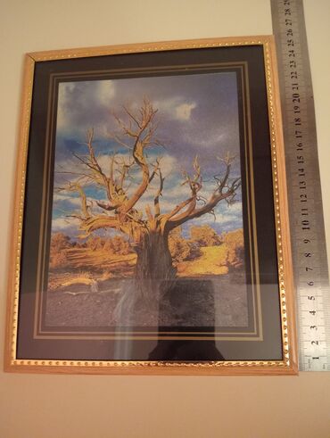 Şəkillər, tablolar: Şəkilli çərçivə, şəkilləri deyişdirmek olmur. ancaq divardan asıla — 7