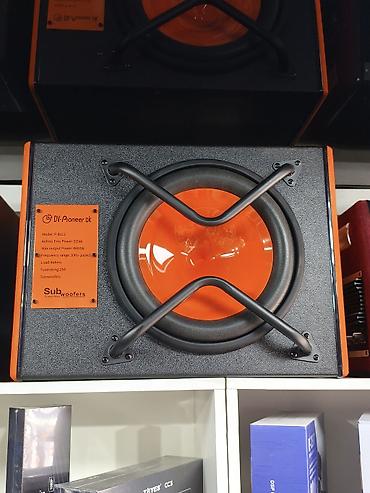 решётка: Сабвуфер DV-Pioneer.ok PowerMax Subwoofers, модель P-B112 в корпусе — 1