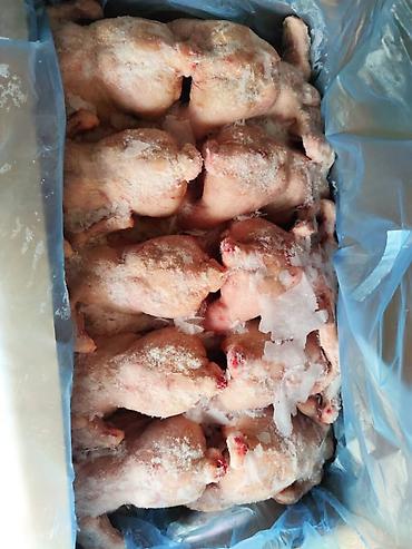 Другие продукты питания: ПРОДУКТЫ ПИТАНИЯ ДОСТАВКА ПО ГоРоДу И РеГиОн. ЗАМОРОЖЕННЫЕ — 8