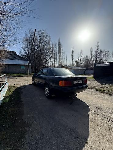 Audi: Audi 100: 1991 г., 2.3 л, Механика, Бензин, Седан — 3