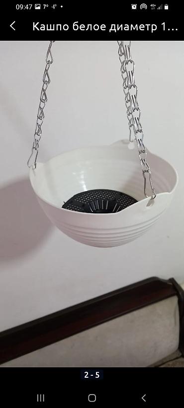 Другие комнатные растения: Сенсивьерия (Тещин язык) . Неприхотливый цветок. Растёт на солнце и в — 4