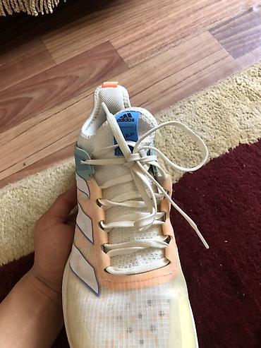 валейболный красовки: Мужские кроссовки, 43, Adidas, Новый — 1