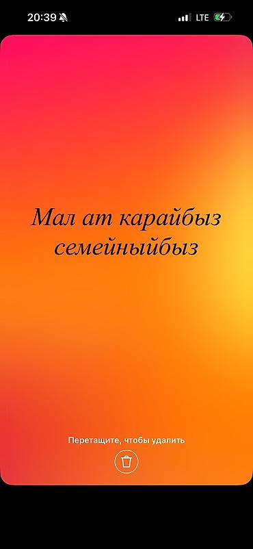 Услуги по уходу за сельскохозяйственными животными (в т.ч. лошадями)