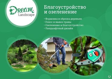 водные растения: Обслуживание объектов по озеленению. Настройка и установка