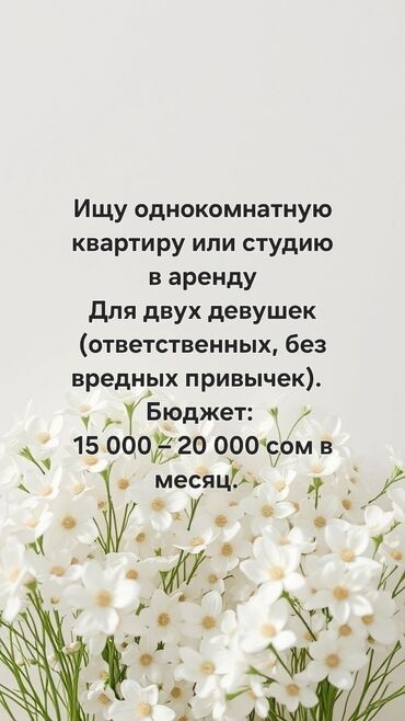 южный берег иссык куль: Студия, 30 м², С мебелью