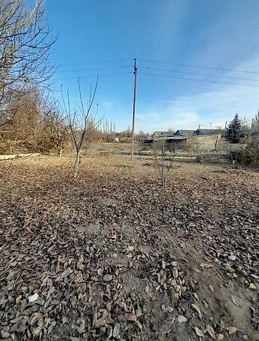 Продажа участков: 32 соток, Красная книга at lalafo.kg — 5 Продажа участков: 32 соток, Красная книга — 5