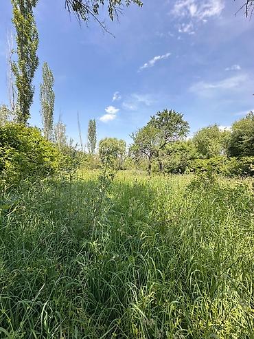 15 соток, Для бизнеса, Красная книга, Тех паспорт, Договор купли-продажи