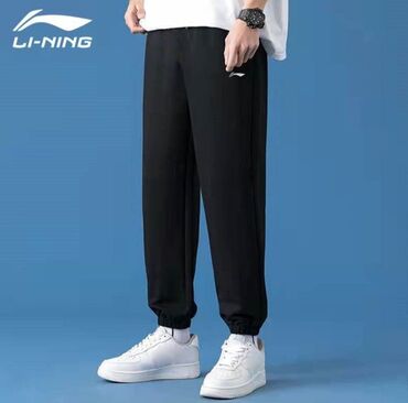 теплые брюки мужские: Брюки L (EU 40), цвет - Черный