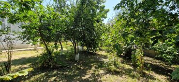 Torpaq sahələrinin satışı: 12 sot, Tikinti, Makler, Kupça (Çıxarış) — 18