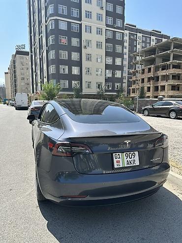 Tesla: Tesla Model 3: 2022 г., Автомат, Электромобиль, Седан — 3