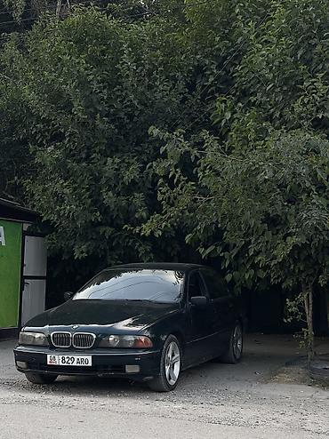 bmv m4: BMW 5 series: 1998 г., 2.5 л, Механика, Бензин, Седан — 2