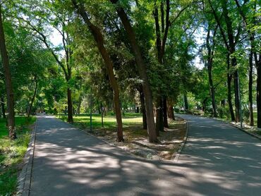 тц бишкек парк: 2 бөлмө, 56 кв. м, Жеке план, 4 кабат, Евроремонт