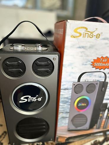rant ace: Портативная акустическая система Sing-e JQS9405 с караоке - Мощность — 5