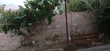 Şlanqlar: Binə sovxozda, Qala küçəsində 5 sot torpaq sahəsində 2 ev satılır — 13