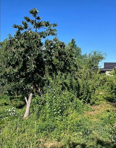 Продажа квартир: 4 комнаты, 96 м², Косметический ремонт — 9