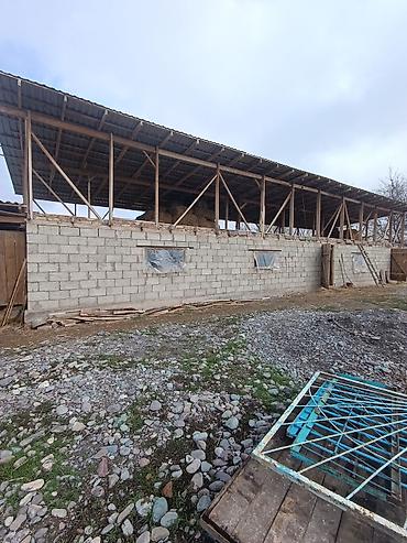 ферма купить: 📌В селе Беловодское продается дом из 3-х комнат на участке 31 соток — 8