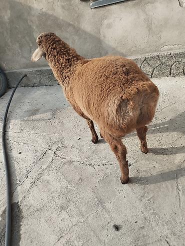 Сварка: Сварка | Камины Высотные работы — 4