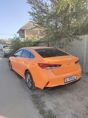 базарить: Hyundai Sonata: 2019 г., 2 л, Автомат, Газ, Седан — 4