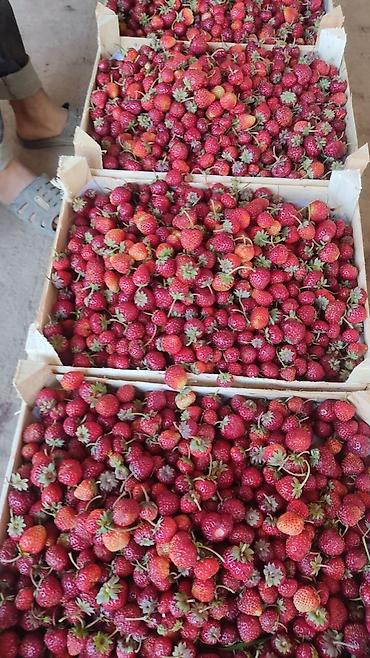 Малина: Малина Платная доставка — 2