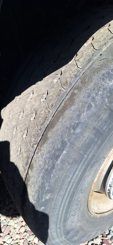 Тягачи: Тягач, DAF, 2018 г., Без прицепа — 12