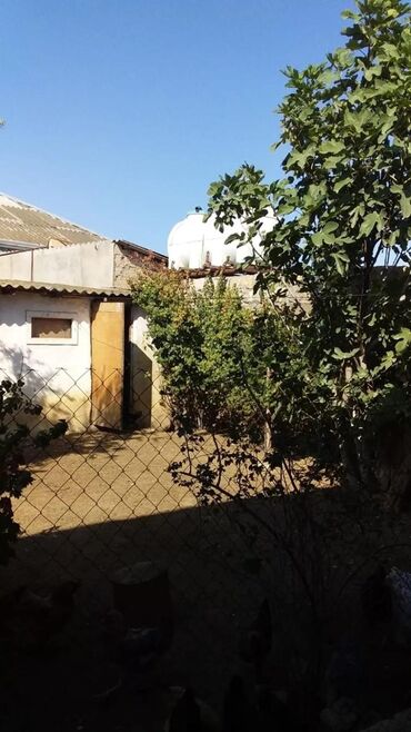 Bağ evlərinin satışı: Digah, 120 kv. m, 4 otaqlı, Hovuzsuz, Kombi, Qaz, İşıq — 6