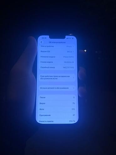 mini 4 pro: IPhone 13 Pro, 256 ГБ - Модель: iPhone 13 Pro (номер модели — 2