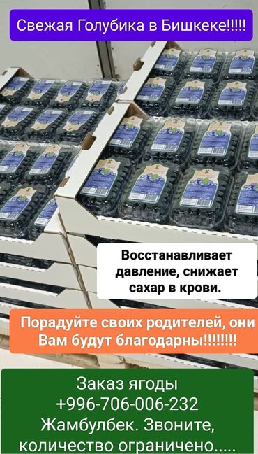 контейнеры одноразовые: Голубика Оптом