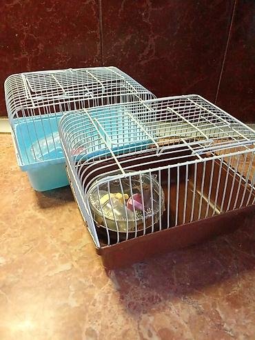 hen: Клетка для хомячков — 8
