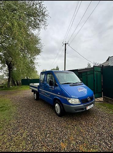 Mercedes-Benz Sprinter 313 CDI двухрядная кабина, бортовой - Тип — 2