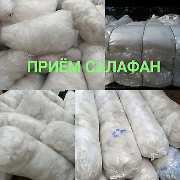 маклатура картон: ПРИНИМАЮ. ОТХОДЫ. САЛАФОНОВ. ДОРОГО. УПАКОВКУ. ОТ. ПАРОЛОНОВ. ОТ — 1