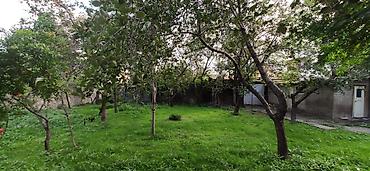 Həyət evləri və villaların satışı: Şəki şəhər Sabit Rəhman küç. dal6/8 — 5