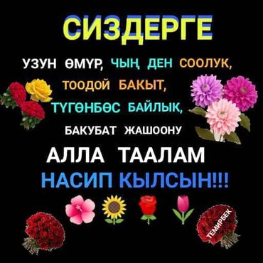 запчасти кондиционер: Генератор сатам докарный ыстанок сатам и гулпнай тигилу терип атабыз