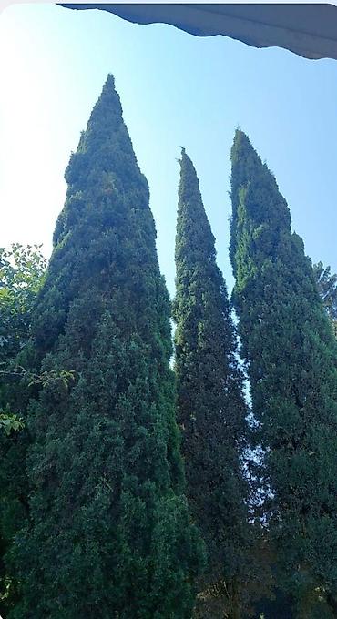 Duş kabinaları, arakəsmələr: Arakəsmə, Künc üçün — 17