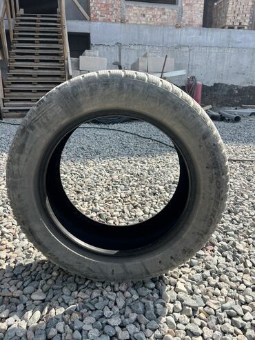 шины 2556018: Шиналар 235 / 55 / R 18, Кыш, Жол тандабастар (АТ/МТ), Dunlop