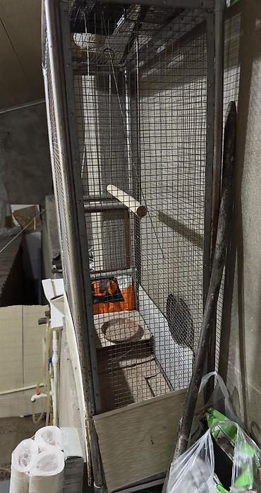 какаду: Böyük metal quş qəfəsi / voliər - Material: möhkəm metal karkas, sıx — 3