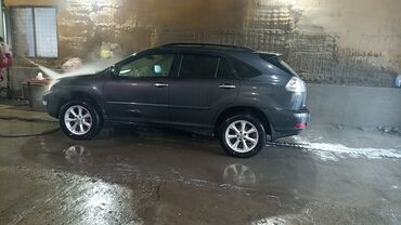 шпатлёвка для авто: Lexus RX: 2009 г., 3.5 л, Автомат, Бензин, Кроссовер