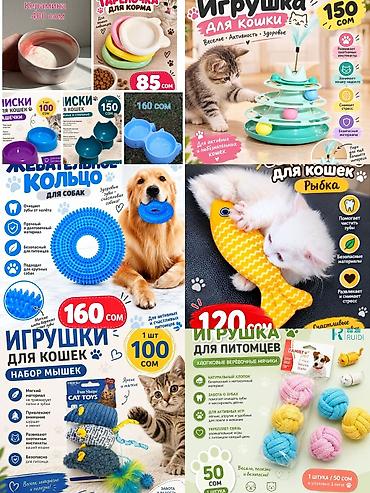 сурикат купить бишкек: 🐾 Мокрый нос — всё для любимых питомцев 🐱🐶 🥣 Миски и аксессуары 🧸 — 1