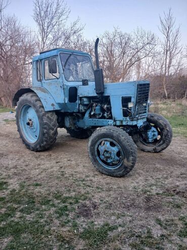 niva maşınlar: Traktor Belarus (MTZ) Mtz82, 1987 il, motor 5.6 l