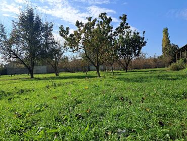 Bağ evlərinin satışı: Xaçmaz, 2 kv. m, 1 otaqlı, Hovuzsuz, Qaz, Su, İşıq — 10