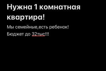 квартира с подселениям: 1 бөлмө, Менчик ээси, Чогуу жашоосу жок